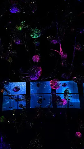 光の海月舞う夜の幻想