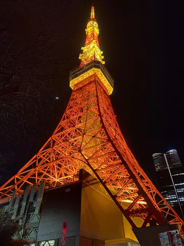 東京の夜に輝く存在感