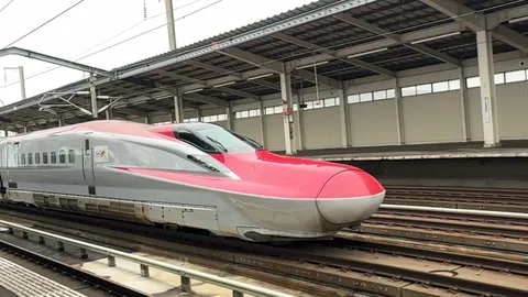 滑走する風景のピンク影