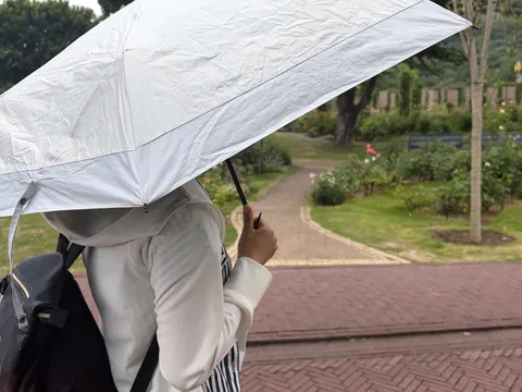 雨空の下、傘に守られて