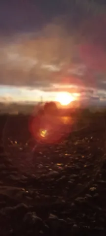 夕暮れの情景が胸を打つ