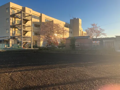 春の光、校舎と桜