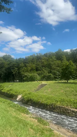 緑あふれる川辺の道