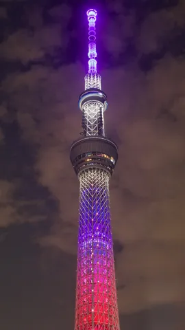 夜空に映える光のグラデーション
