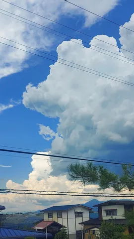 夏の積乱雲と電線