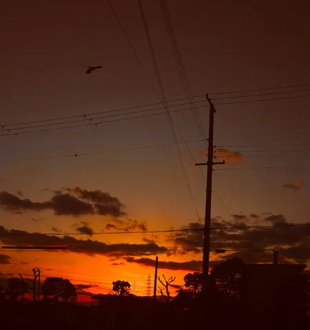 夕焼け空に浮かぶシルエット