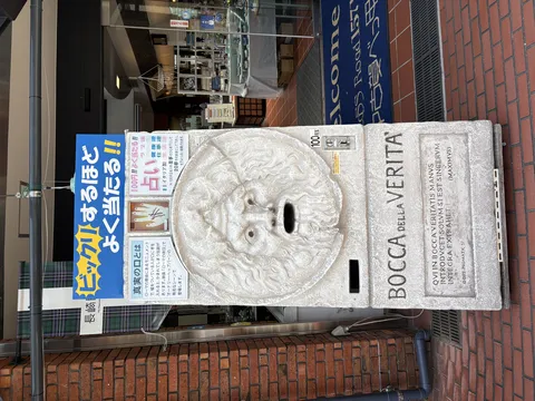 驚きの的中率？真実の口占い