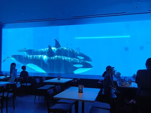 青い水槽に浮かぶ影
