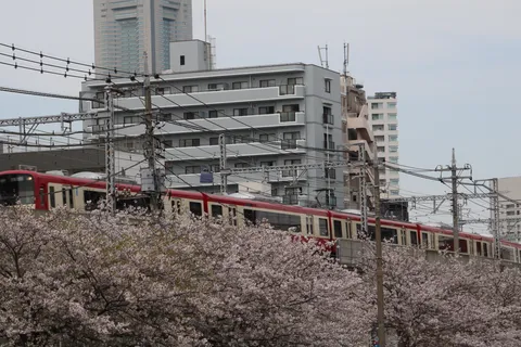 春光と疾走の交差点