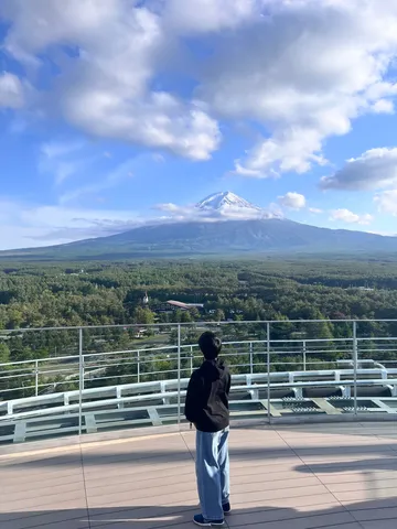白き頂と森の海