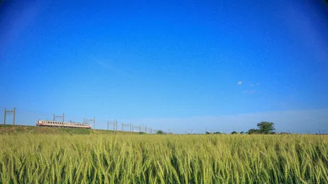 青空と麦畑、急ぐ電車