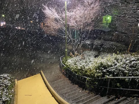 雪夜の街灯と静寂