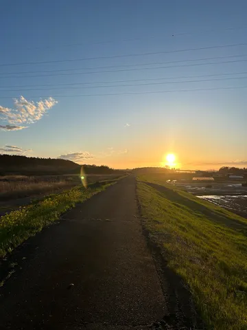 夕暮れの道に広がる静寂