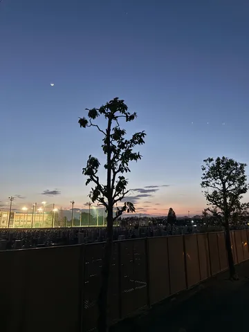 墓地と空の静かな境界線