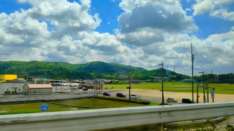 初夏の緑と青空のコントラスト