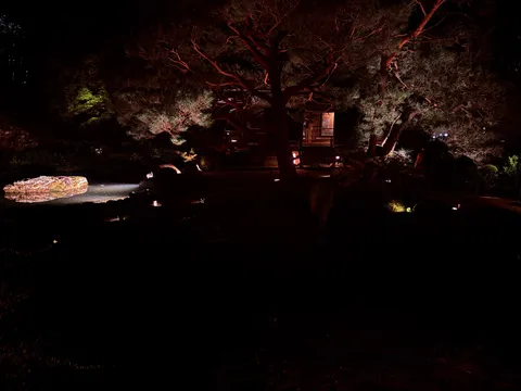 夜の庭に灯る静かな情景