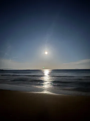 月光が描く、夜の海の道