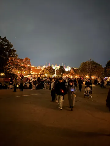 夜の遊園地、光のパレード