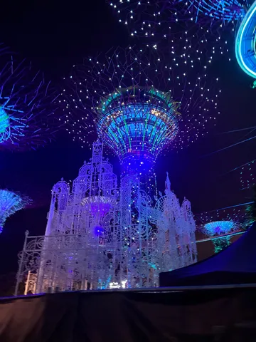 夜空に咲く光の芸術