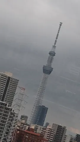 曇り空にそびえるタワー
