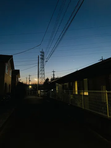 街灯と電線の夜明け前