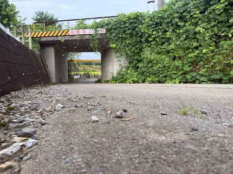 緑のカーテンとトンネルの道