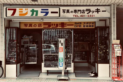 街角で眠る、ラッキーな猫