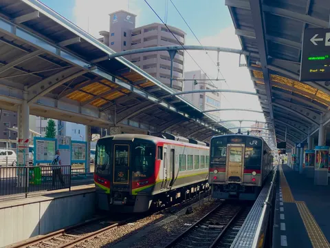 夏の駅に停車する二両の電車