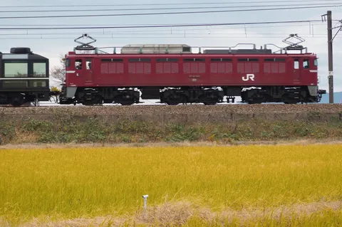 黄金の田園と茜色の鉄路