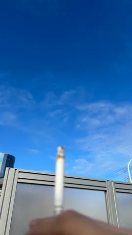青空に立つ一本の影