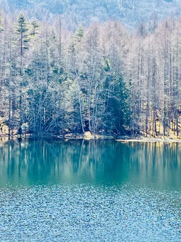 静寂の湖畔に映る冬の森