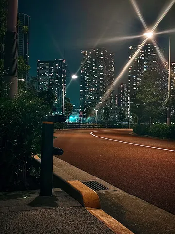 夜道にほどける光