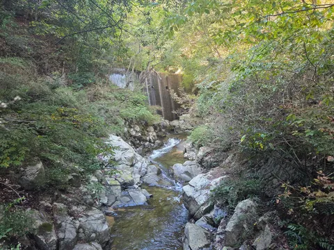 涼やかな渓流、苔むす石