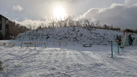 雪の公園に静かな光