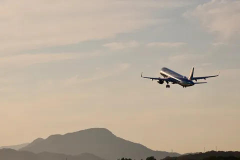 薄暮の空を翔る翼