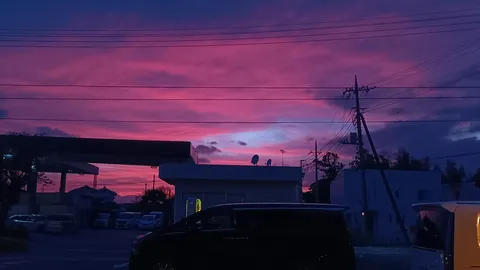 紫とピンクの空、日常の瞬間
