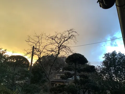 静寂に染まる空と木々のシルエット