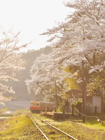 花明かりの停車場