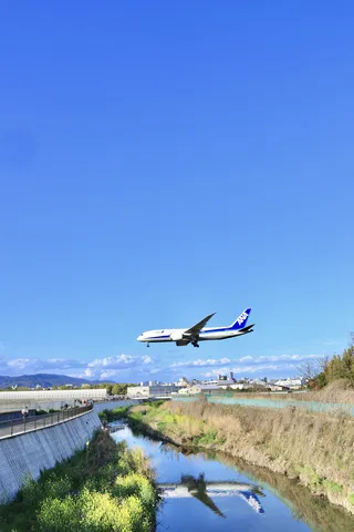 ANA機、川面にもう一機発見！