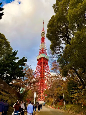 森を抜ける赤白タワー