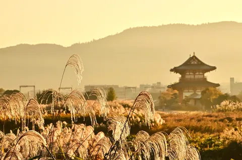 秋風に揺れるススキと古都の風景
