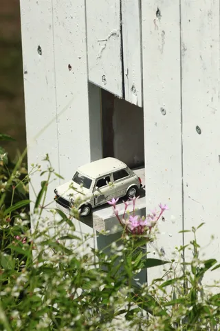 小さな車と草花のコントラスト