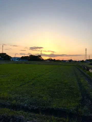 夕焼けに染まる田園風景