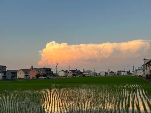 夕暮れの田園を彩る巨大な雲