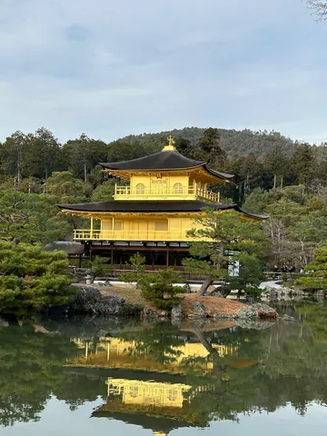 黄金の蓮、水鏡に映る極楽