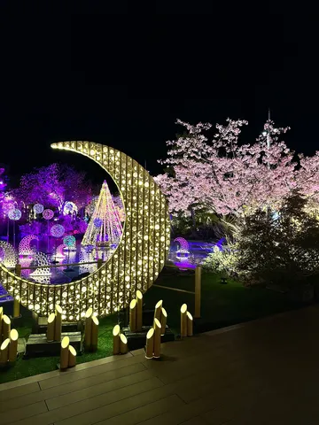月と桜、光が織りなす夜