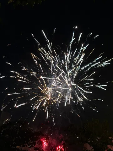 夜空に咲く、光の花火