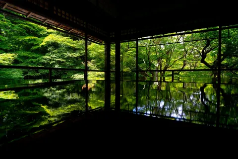 水鏡に映る緑の世界