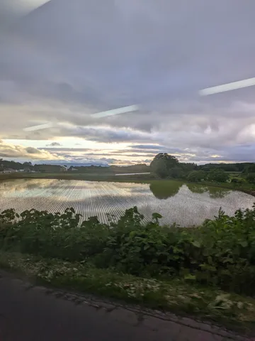 水田に映る、空模様