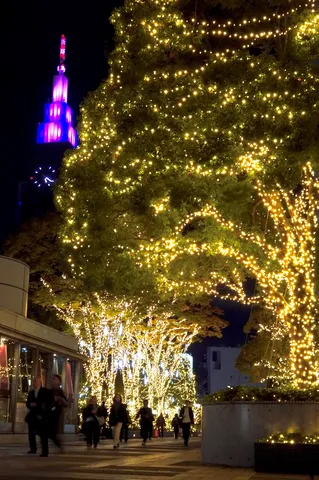 光の粒がきらめく、都会の夜景